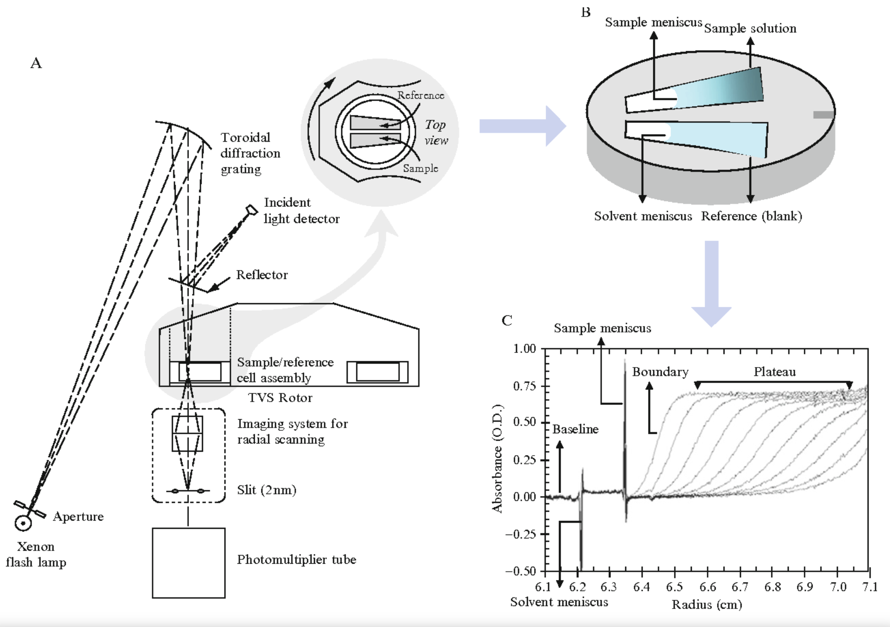 Explanation of the working principle for Analytical Ultracentrifugation